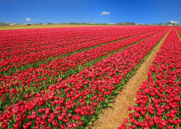 Sint Adelbertus Apartment